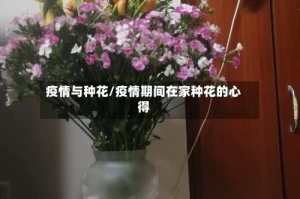疫情与种花/疫情期间在家种花的心得