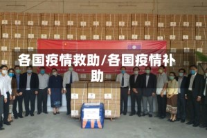 各国疫情救助/各国疫情补助