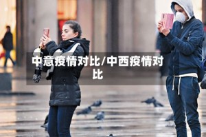 中意疫情对比/中西疫情对比