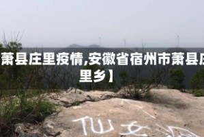 【萧县庄里疫情,安徽省宿州市萧县庄里乡】