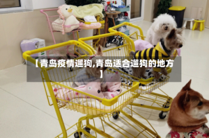 【青岛疫情遛狗,青岛适合遛狗的地方】