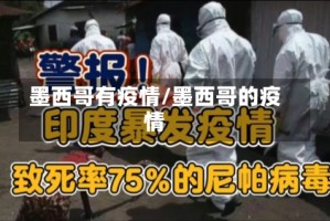 墨西哥有疫情/墨西哥的疫情