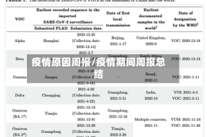 疫情原因周报/疫情期间周报总结