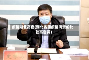 疫情湖北高官(湖北省因疫情问责的比较高官员)