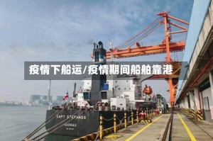 疫情下船运/疫情期间船舶靠港