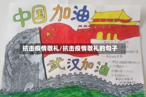 抗击疫情敬礼/抗击疫情敬礼的句子