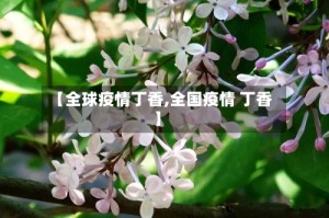【全球疫情丁香,全国疫情 丁香】