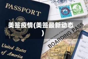 美签疫情(美签最新动态)