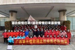 湖北疫情归来/湖北疫情归来最新情况