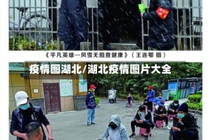 疫情图湖北/湖北疫情图片大全