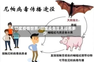 印度疫情世界/印度疫情世界排名多少