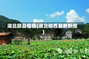 湖北郧县疫情(湖北郧西最新新闻)