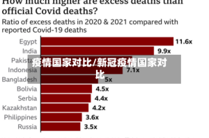 疫情国家对比/新冠疫情国家对比