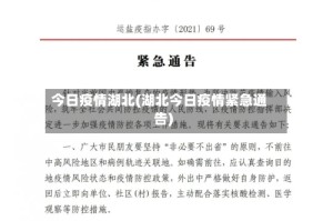 今日疫情湖北(湖北今日疫情紧急通告)