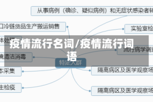 疫情流行名词/疫情流行词语
