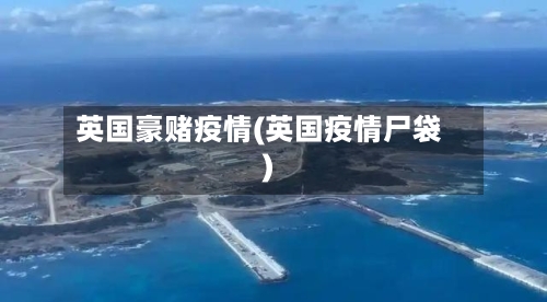 英国豪赌疫情(英国疫情尸袋)-第1张图片
