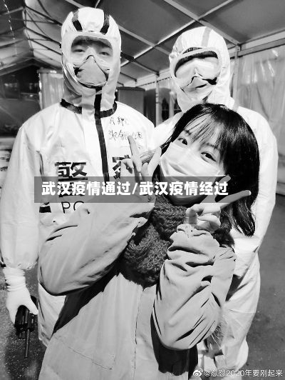 武汉疫情通过/武汉疫情经过-第2张图片