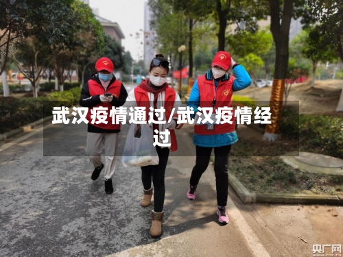 武汉疫情通过/武汉疫情经过-第3张图片