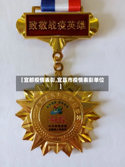 【宜都疫情表彰,宜昌市疫情表彰单位】-第2张图片