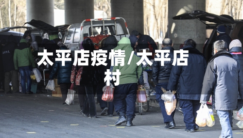 太平店疫情/太平店村-第1张图片