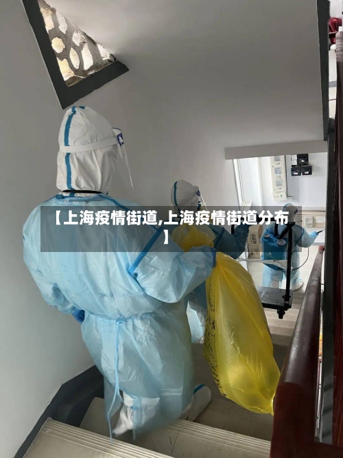 【上海疫情街道,上海疫情街道分布】-第2张图片