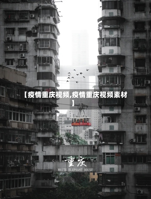 【疫情重庆视频,疫情重庆视频素材】-第1张图片