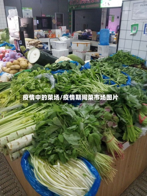 疫情中的菜场/疫情期间菜市场图片-第1张图片