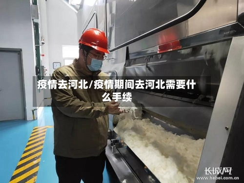 疫情去河北/疫情期间去河北需要什么手续-第2张图片