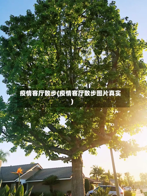 疫情客厅散步(疫情客厅散步图片真实)-第3张图片