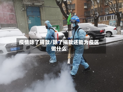 疫情除了捐款/除了捐款还能为疫区做什么-第2张图片