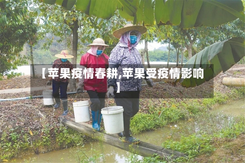 【苹果疫情春耕,苹果受疫情影响】-第1张图片