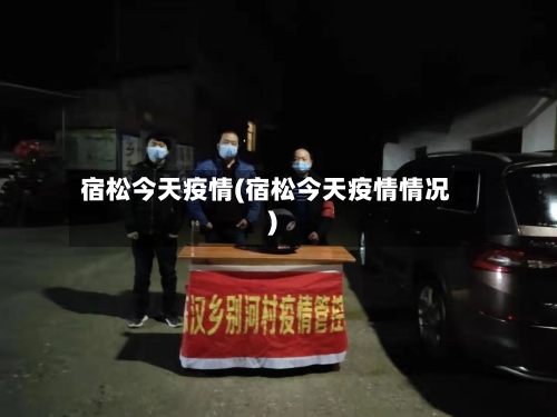 宿松今天疫情(宿松今天疫情情况)-第2张图片