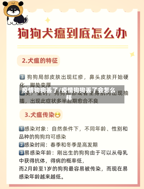 疫情狗狗丢了/疫情狗狗丢了会怎么样-第1张图片
