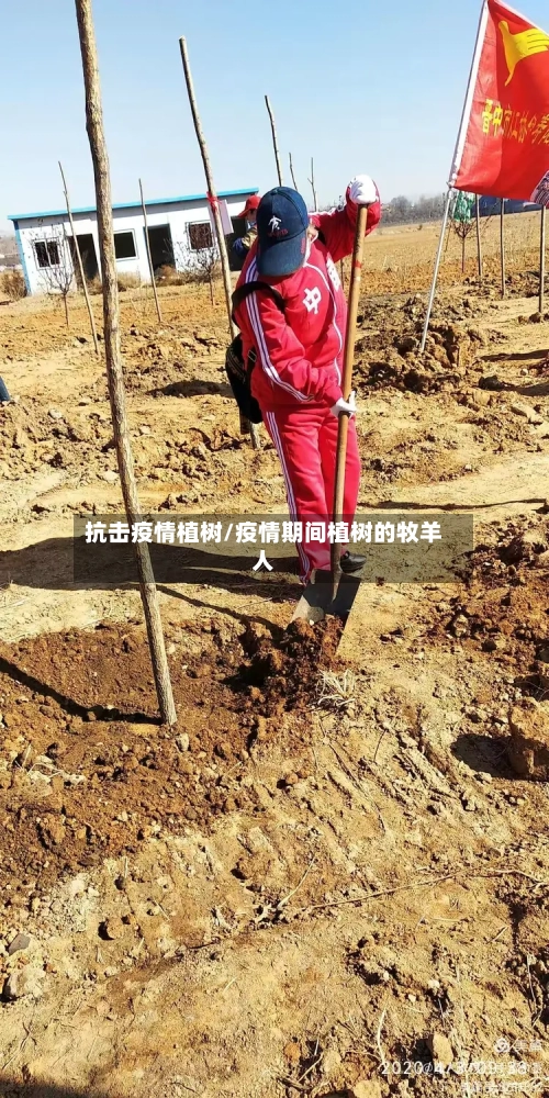 抗击疫情植树/疫情期间植树的牧羊人-第2张图片