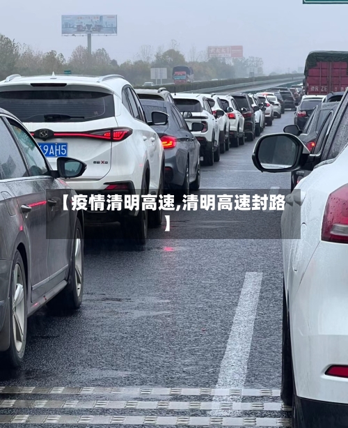 【疫情清明高速,清明高速封路】-第1张图片