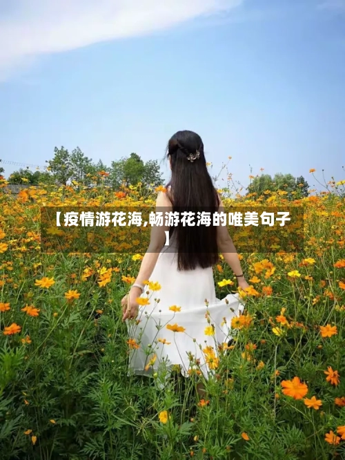 【疫情游花海,畅游花海的唯美句子】-第2张图片