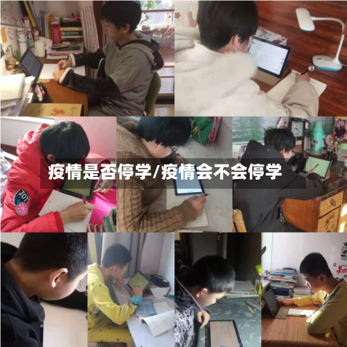 疫情是否停学/疫情会不会停学-第1张图片