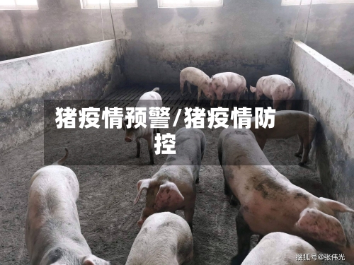 猪疫情预警/猪疫情防控-第2张图片