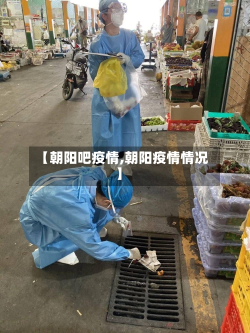 【朝阳吧疫情,朝阳疫情情况】-第3张图片