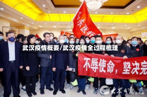 武汉疫情概要/武汉疫情全过程梳理-第2张图片