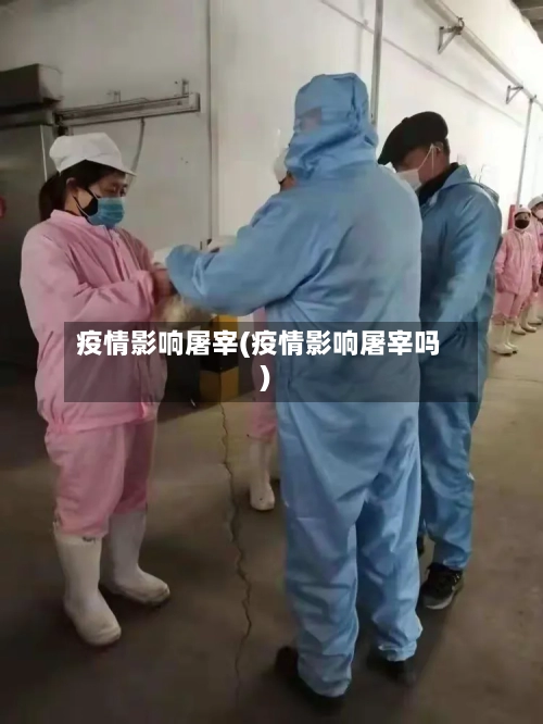 疫情影响屠宰(疫情影响屠宰吗)-第3张图片