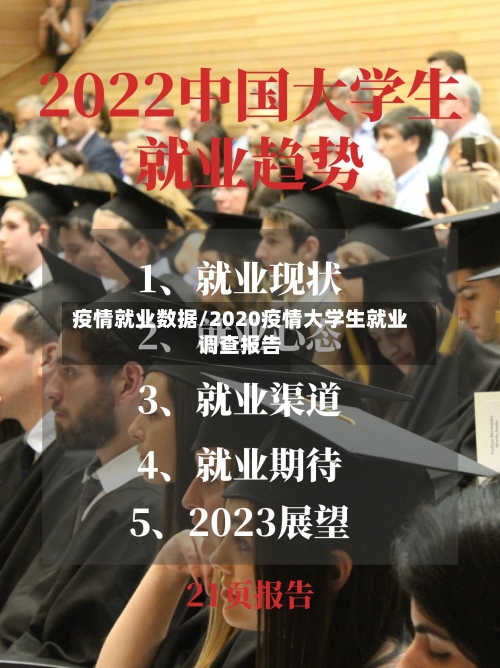 疫情就业数据/2020疫情大学生就业调查报告-第2张图片