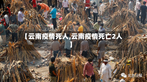 【云南疫情死人,云南疫情死亡2人】-第2张图片