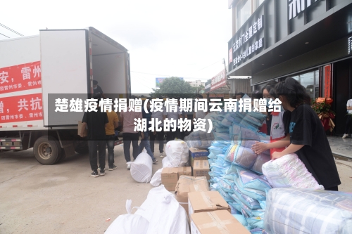 楚雄疫情捐赠(疫情期间云南捐赠给湖北的物资)-第1张图片