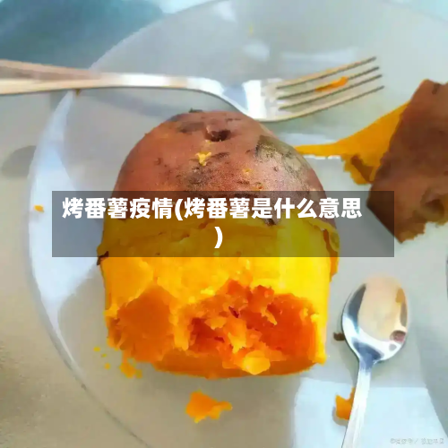 烤番薯疫情(烤番薯是什么意思)-第1张图片