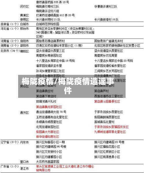 梅陇疫情/梅陇疫情造谣事件-第2张图片