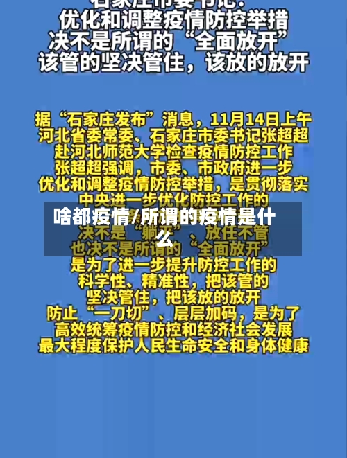 啥都疫情/所谓的疫情是什么-第2张图片