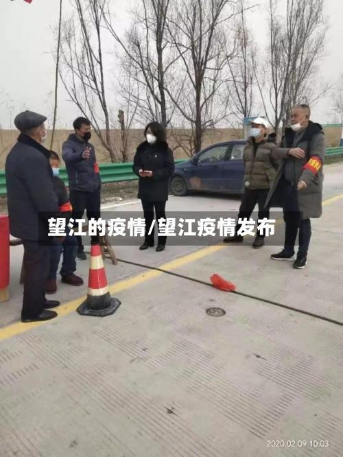 望江的疫情/望江疫情发布-第2张图片