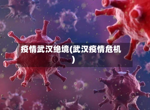 疫情武汉绝境(武汉疫情危机)-第2张图片