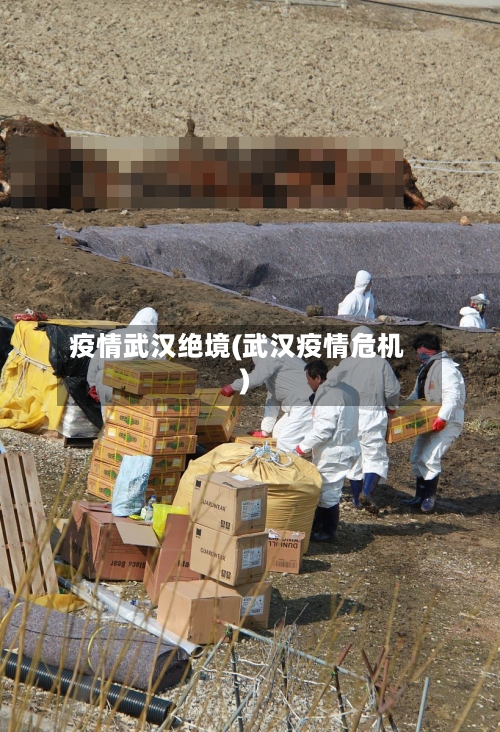 疫情武汉绝境(武汉疫情危机)-第3张图片